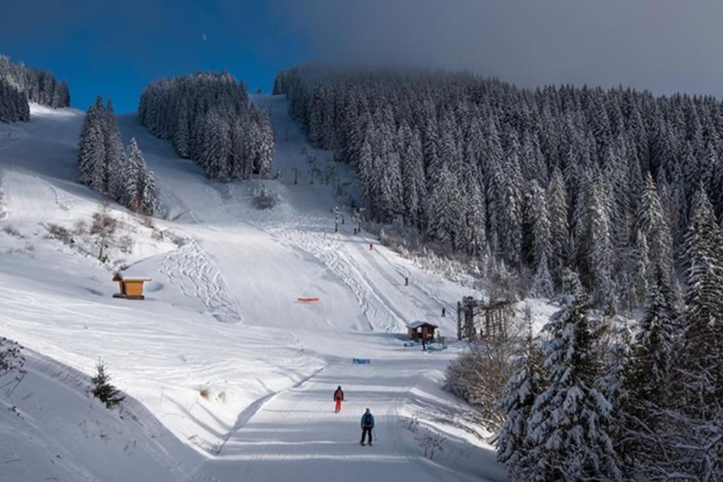 Dans Residence Neuve Le Snow Roc Sur Les Pistes, Grand Studio Cosy 5 Pers Avec Terrasse Panoramique, Sauna, Wifi Сен-Жан-д'Ольп Экстерьер фото
