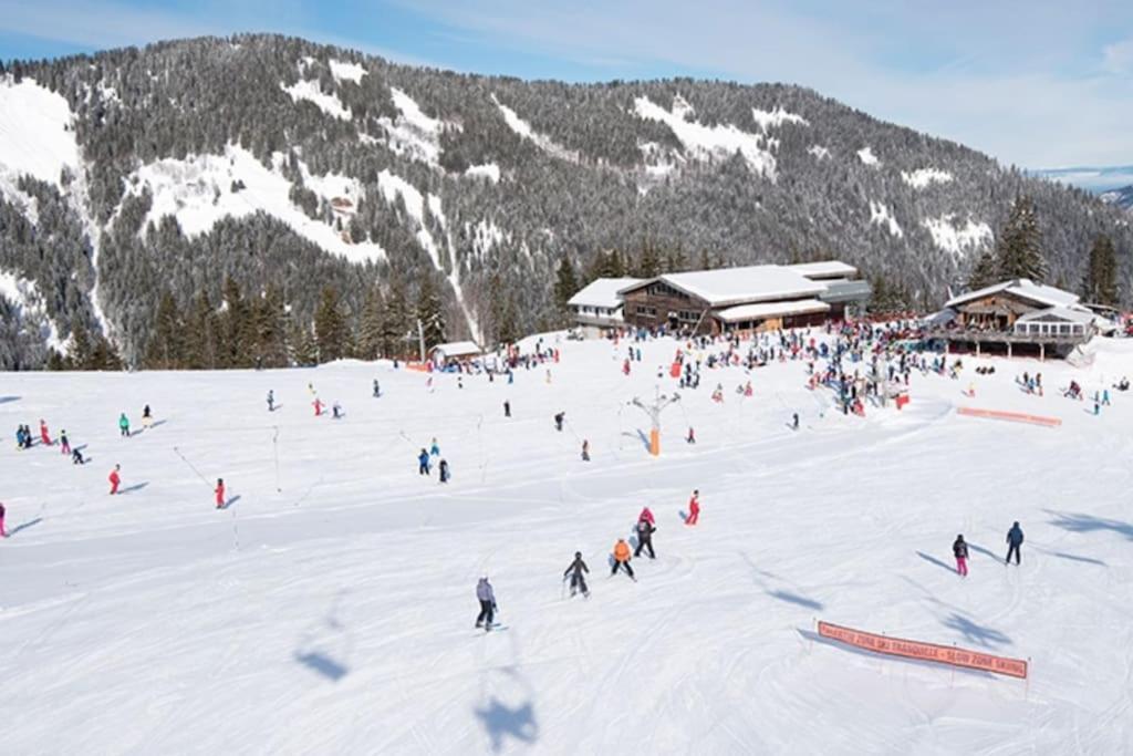 Dans Residence Neuve Le Snow Roc Sur Les Pistes, Grand Studio Cosy 5 Pers Avec Terrasse Panoramique, Sauna, Wifi Сен-Жан-д'Ольп Экстерьер фото